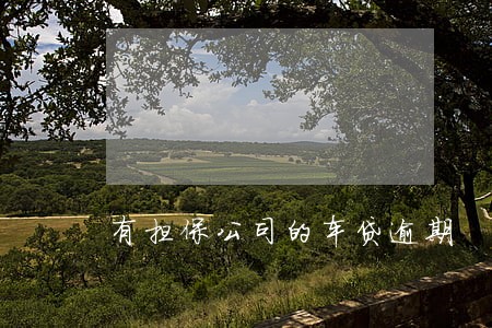 有担保公司的车贷逾期 有担保公司的车贷逾期