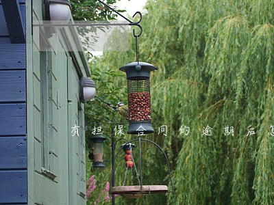 有担保合同的逾期后怎么办 有担保合同的逾期后怎么办