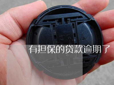有担保的贷款逾期了