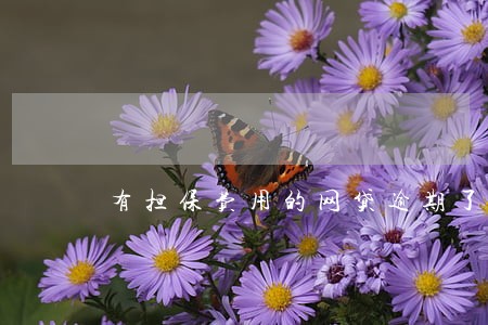 有担保费用的网贷逾期了 有担保费用的网贷逾期了