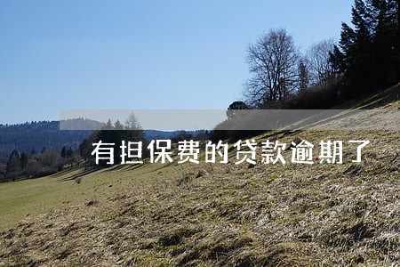 有担保费的贷款逾期了