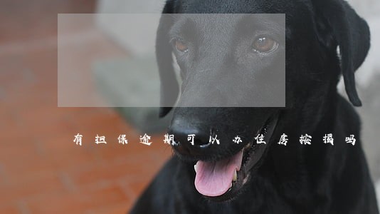 有担保逾期可以办住房按揭吗 有担保逾期可以办住房按揭吗