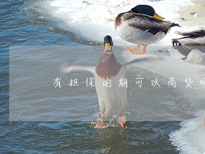 有担保逾期可以商贷吗