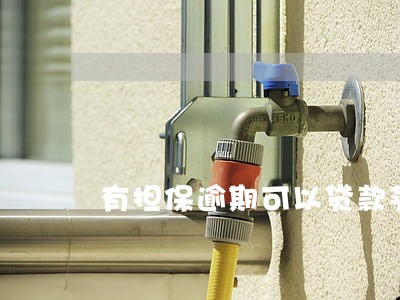 有担保逾期可以贷款买房吗 有担保逾期可以贷款买房吗