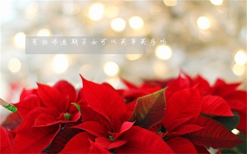 有担保逾期子女可以买车买房吗 有担保逾期子女可以买车买房吗