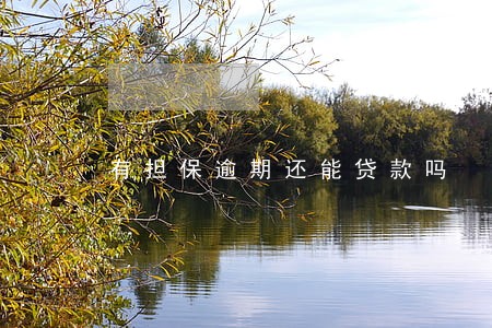 有担保逾期还能贷款吗 有担保逾期还能贷款吗