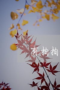 有拍拍贷逾期4年没还的吗 有拍拍贷逾期4年没还的吗