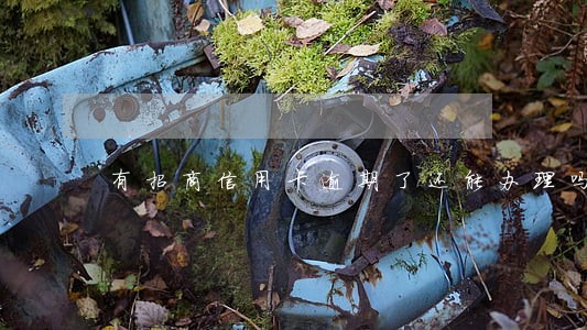 有招商信用卡逾期了还能办理吗 有招商信用卡逾期了还能办理吗