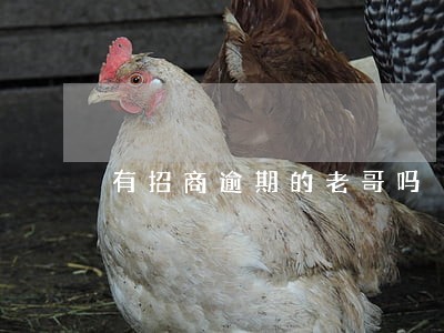 有招商逾期的老哥吗 有招商逾期的老哥吗