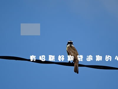 有招联好期贷逾期的么 有招联好期贷逾期的么