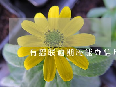 有招联逾期还能办信用卡吗