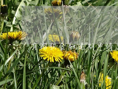 有招联金融逾期申请只还本金的吗 有招联金融逾期申请只还本金的吗
