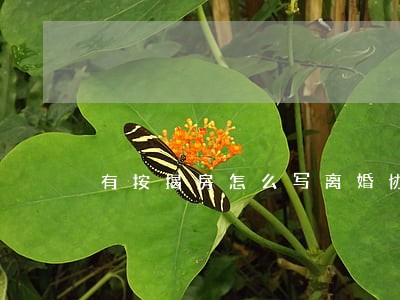 有按揭房怎么写离婚协议 有按揭房怎么写离婚协议