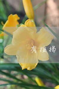 有按揭房网贷逾期怎么办 有按揭房网贷逾期怎么办