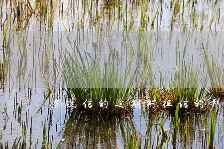 有捷信的逾期对征信的影响 有捷信的逾期对征信的影响