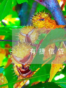 有捷信贷款逾期分期买车吗 有捷信贷款逾期分期买车吗