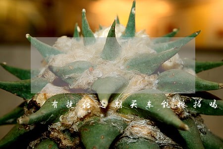 有捷信逾期买车能按揭吗