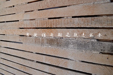 有捷信逾期还款怎么办 有捷信逾期还款怎么办