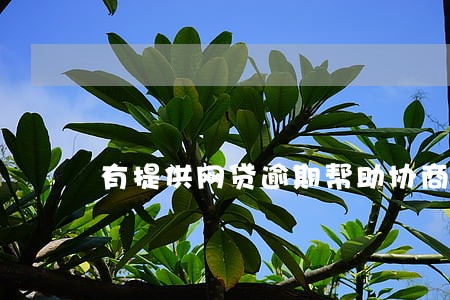 有提供网贷逾期帮助协商的吗 有提供网贷逾期帮助协商的吗