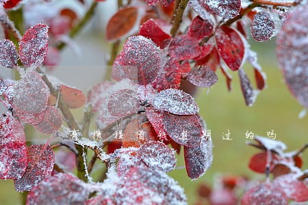有携程借钱逾期过的吗 有携程借钱逾期过的吗