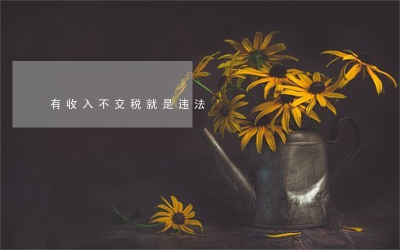 有收入不交税就是违法 有收入不交税就是违法