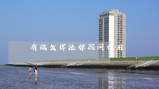 有效发挥法律顾问作用 有效发挥法律顾问作用