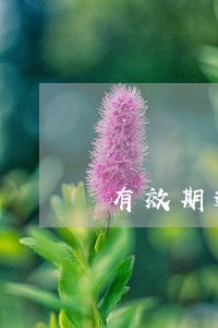 有效期逾期自动延期 有效期逾期自动延期