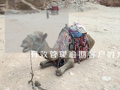 有效管理逾期客户的方法 有效管理逾期客户的方法