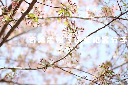 有效震慑了违法犯罪分子 有效震慑了违法犯罪分子