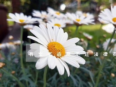 有文字逾期不还法律责任 有文字逾期不还法律责任