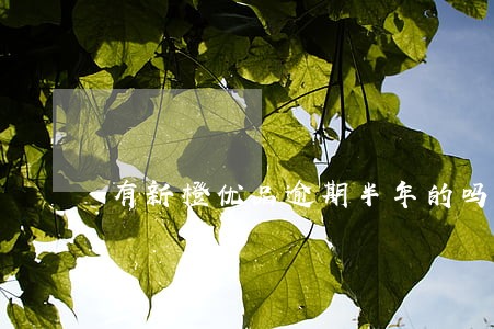 有新橙优品逾期半年的吗 有新橙优品逾期半年的吗