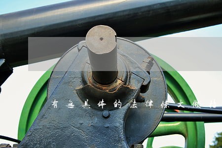 有无具体的法律条文做指引 有无具体的法律条文做指引