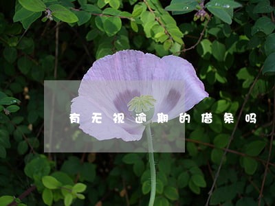 有无视逾期的借条吗 有无视逾期的借条吗