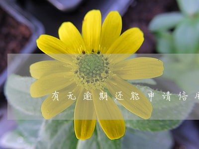 有无逾期还能申请信用贷款 有无逾期还能申请信用贷款