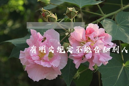 有明文规定不能告知别人我逾期了 有明文规定不能告知别人我逾期了