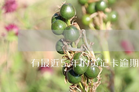 有最近5年的贷记卡逾期记录 有最近5年的贷记卡逾期记录