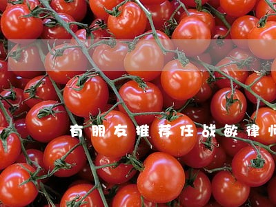 有朋友推荐任战敏律师 有朋友推荐任战敏律师