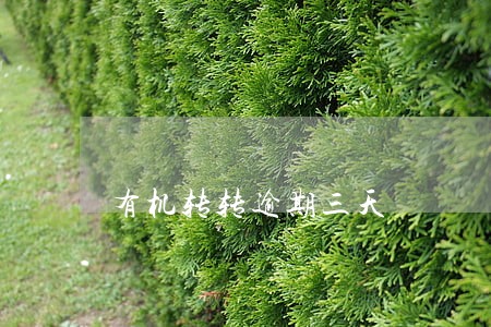 有机转转逾期三天 有机转转逾期三天