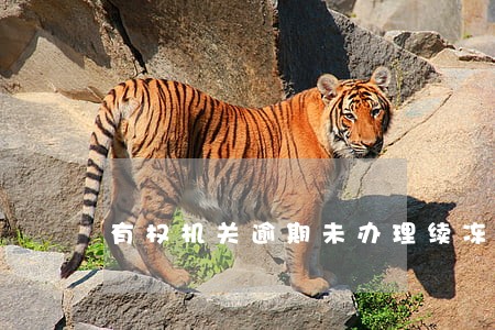 有权机关逾期未办理续冻解冻 有权机关逾期未办理续冻解冻