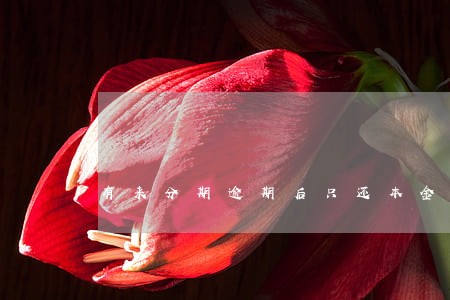 有来分期逾期后只还本金的吗