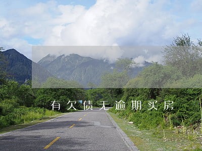 有欠债无逾期买房
