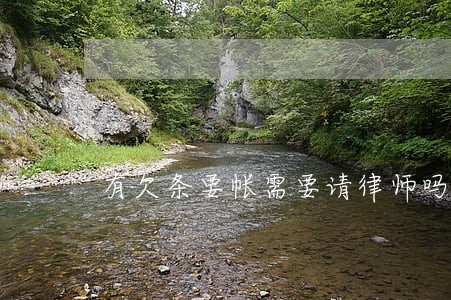 有欠条要帐需要请律师吗 有欠条要帐需要请律师吗