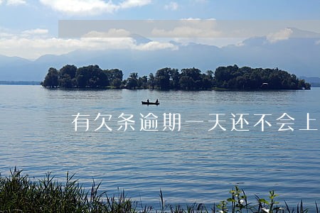 有欠条逾期一天还不会上征信 有欠条逾期一天还不会上征信