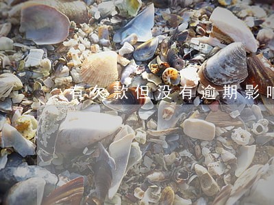 有欠款但没有逾期影响征信吗
