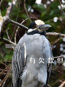 有欠款但没逾期会影响征信吗 有欠款但没逾期会影响征信吗