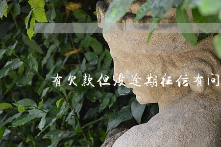 有欠款但没逾期征信有问题吗