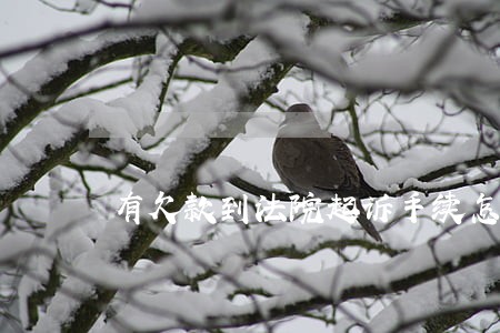 有欠款到法院起诉手续怎么办 有欠款到法院起诉手续怎么办