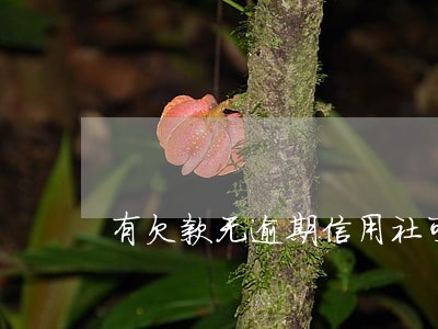 有欠款无逾期信用社可以贷款吗 有欠款无逾期信用社可以贷款吗