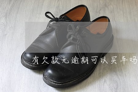 有欠款无逾期可以买车吗 有欠款无逾期可以买车吗