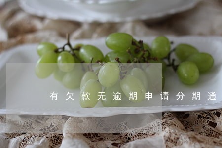 有欠款无逾期申请分期通 有欠款无逾期申请分期通